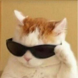 Meet your Posher, Khloe